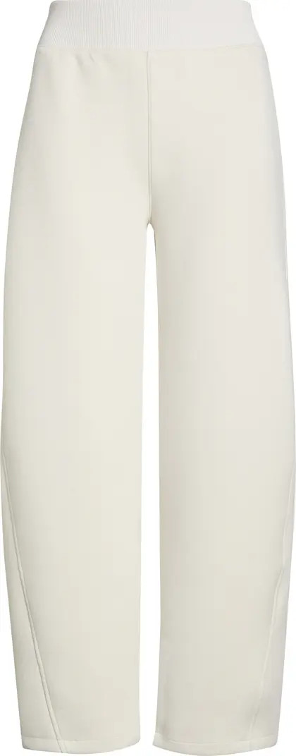 Brushed AirEssentials® Luxe Ankle Pants | Nordstrom