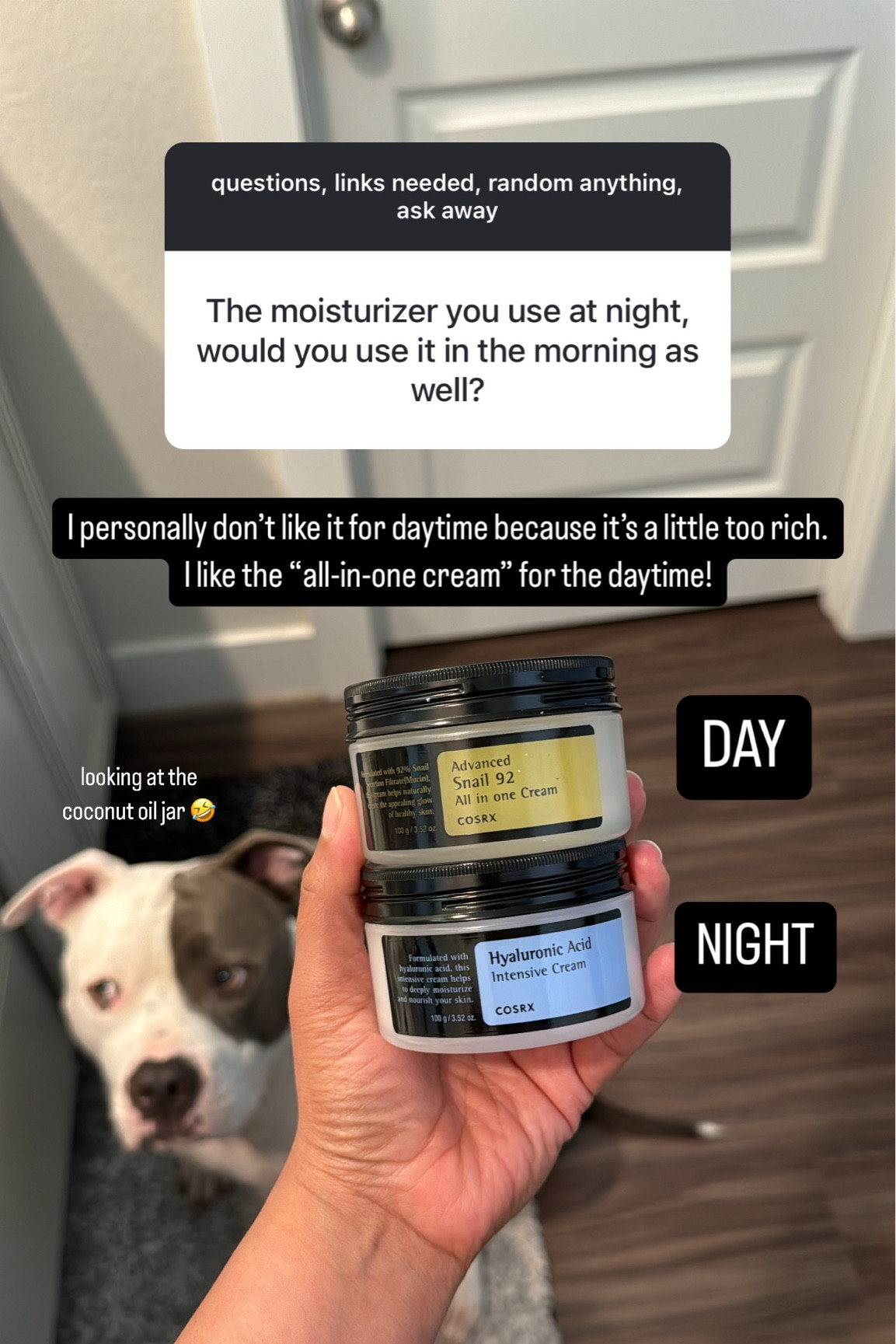 Daytime and nighttime moisturizers 

#LTKFindsUnder50 #LTKBeauty