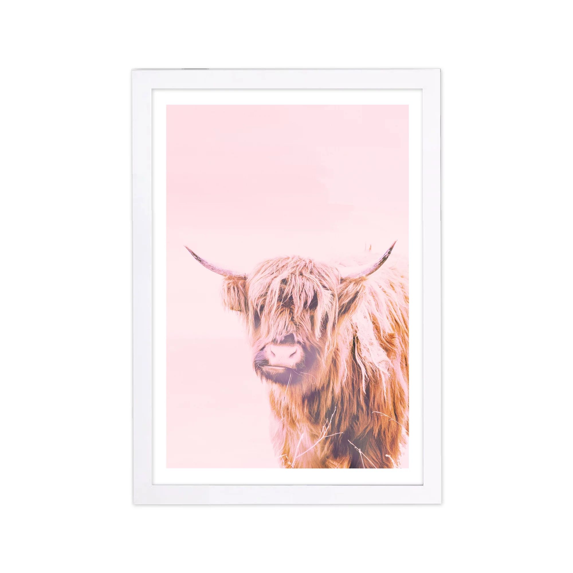Wynwood Studio Animals Framed Wall Art Prints 'A Highland Cow' Farm Animals Home Décor - Pink, B... | Walmart (US)