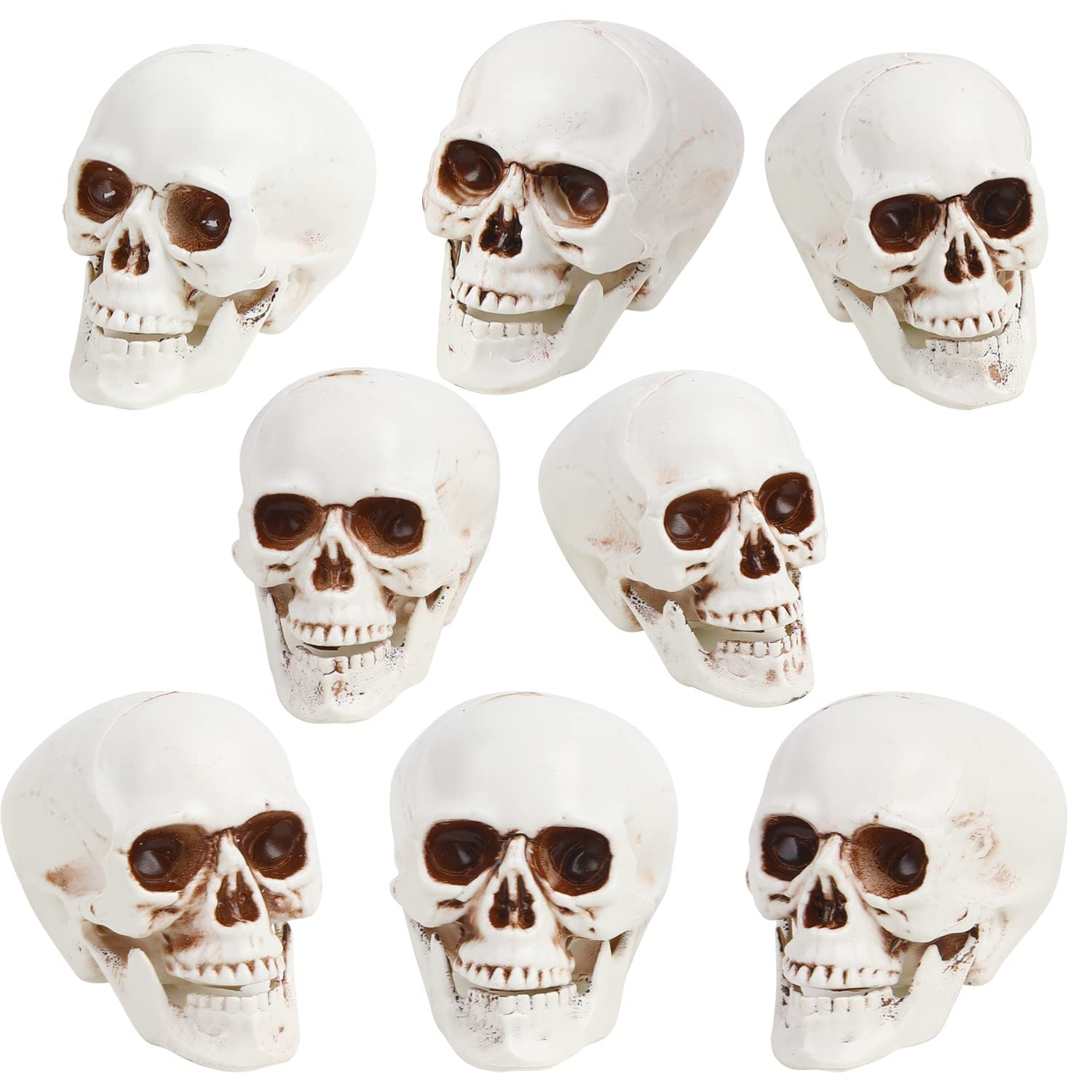 CCINEE 8pcs Halloween Skull Decoration Realistic Looking Skulls Mini Human Skeleton Head Skull Or... | Amazon (US)