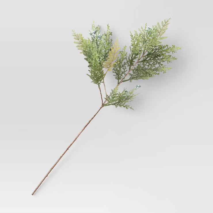 Cypress and Juniper Stem Arrangement Green - Threshold™ | Target