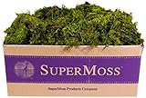 Visit the SuperMoss Store | Amazon (US)