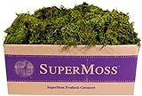 Visit the SuperMoss Store | Amazon (US)