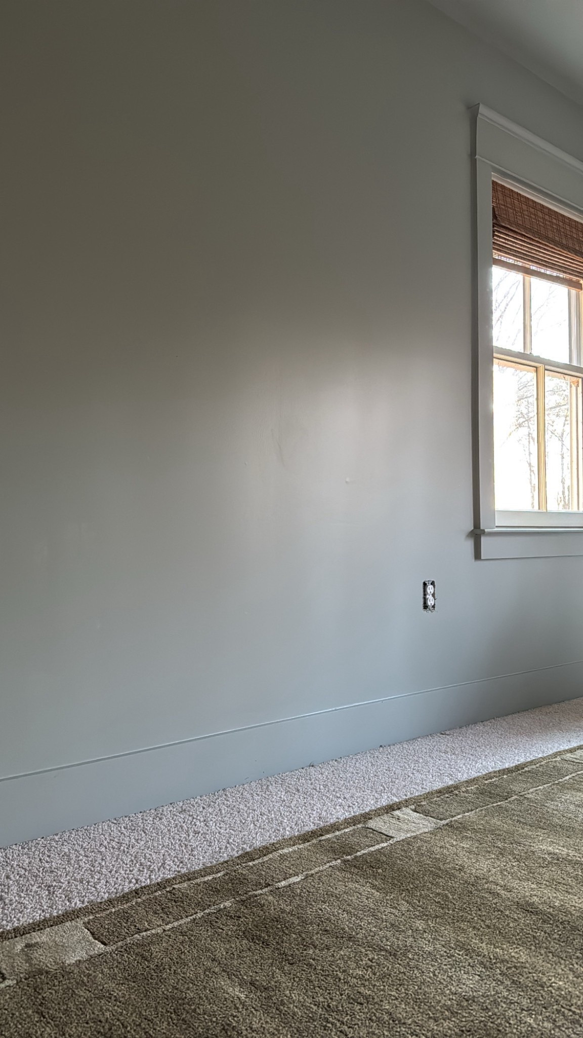 Colton’s room rug, paint color, and blinds

#LTKHome #LTKKids