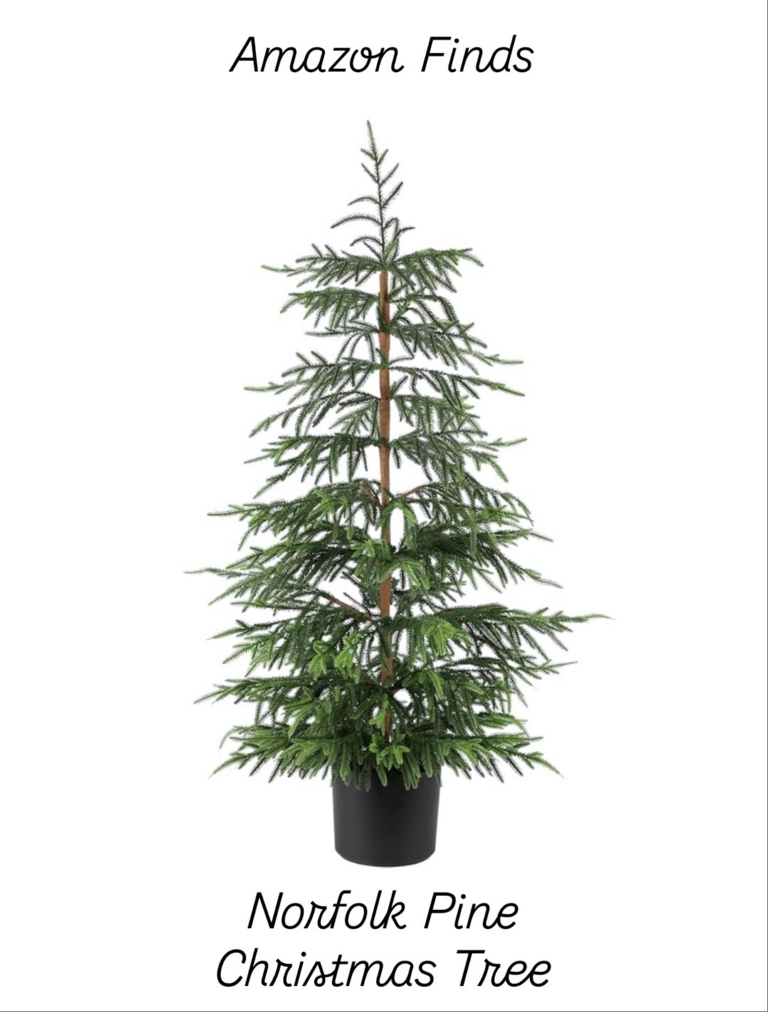 Norfolk Pine Christmas Tree.

#LTKSeasonal #LTKHome #LTKFamily