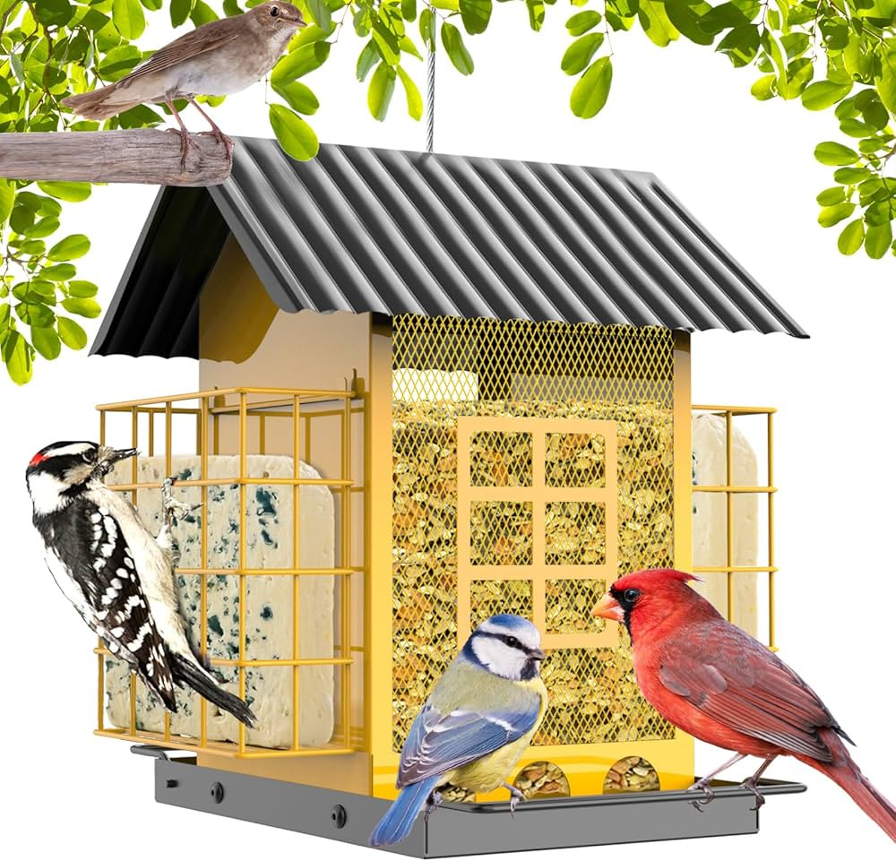 Bird Feeders for Outdoors Hanging, Metal Bird Feeder with Double Suet Cage Cake, Large Capacity, ... | Amazon (US)
