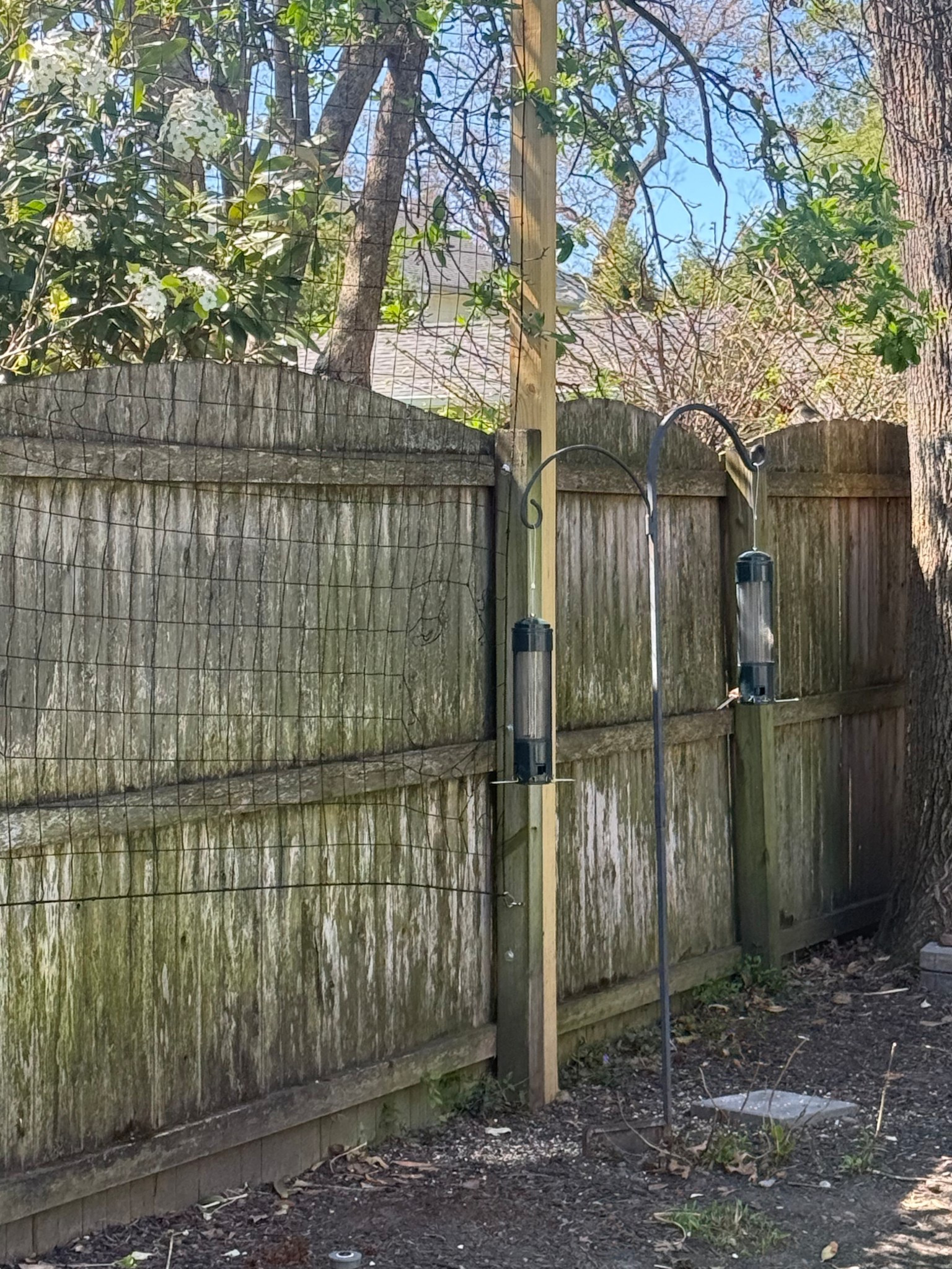 I picked up these bird feeders that the birds in our backyard really seem to be enjoying! Affordable, have held up perfectly and are really easy to refill. 

Backyard, spring, outdoor decor, backyard inspo, GIRLONTHEHUDSON 

#LTKdayinmylife #LTKSeasonal #LTKHome