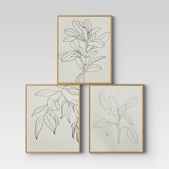 (Set of 3) 16&#34; x 20&#34; Leaf Illustrations Framed Wall Canvas - Opalhouse&#8482; | Target