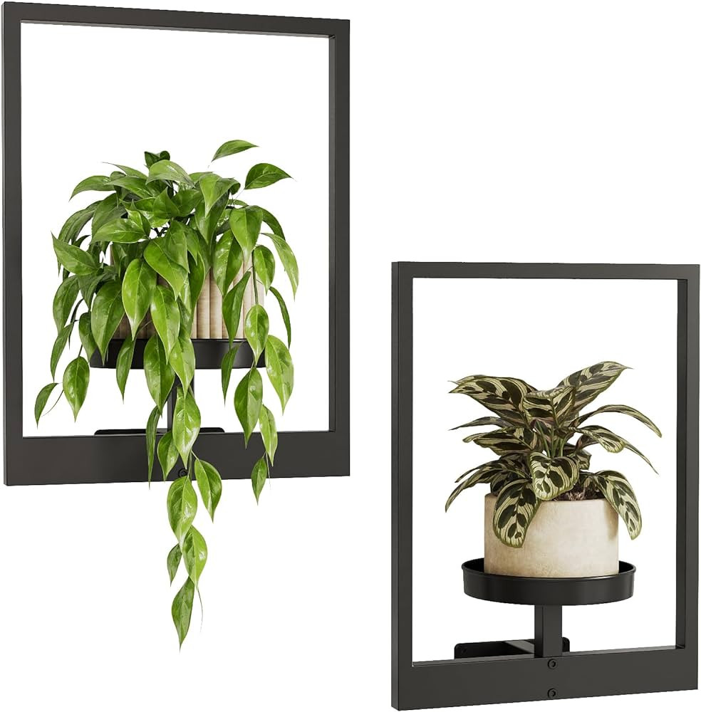 Bamworld Wall Planters for Indoor Plants Metal Wall Plant Holder Plant Hanger Wall Decor Wall-Mou... | Amazon (US)