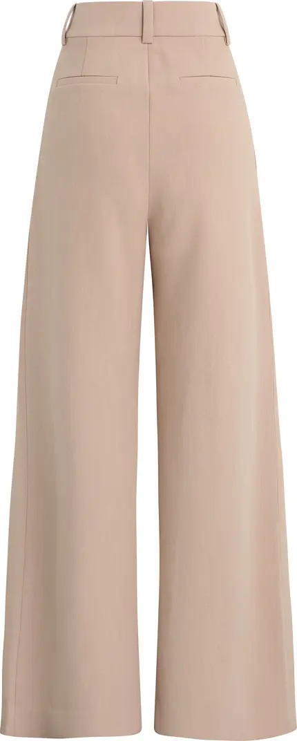 Pleated Wide Leg Pants | Nordstrom