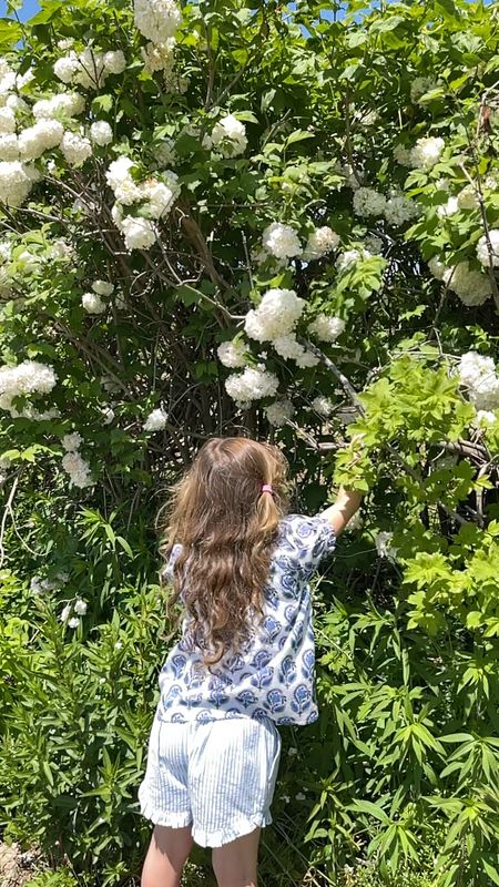 Flower picking in J.Crew Crewcuts. 50% off full price with code WEEKEND. 

Kids clothing, girls clothing, vacation outfit, summer outfit, block print, seersucker shorts, peplum top, ruffle shorts

#LTKsalealert #LTKkids #LTKunder50