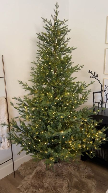 Our Christmas tree is up! This spruce tree from M