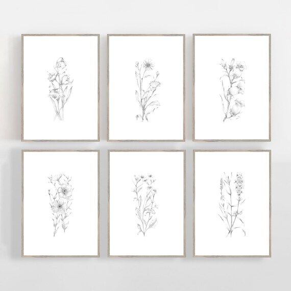Read the full title
    Set of 6 Posters, 6 Print Set, Set of 6 Wall Art, Botanical Sketch, Flowe... | Etsy (US)