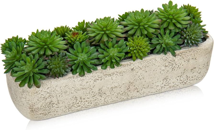 Fake Plants Succulents in Cement Pot Faux Plants Indoor Artificial Succulent Arrangement for Home... | Amazon (US)