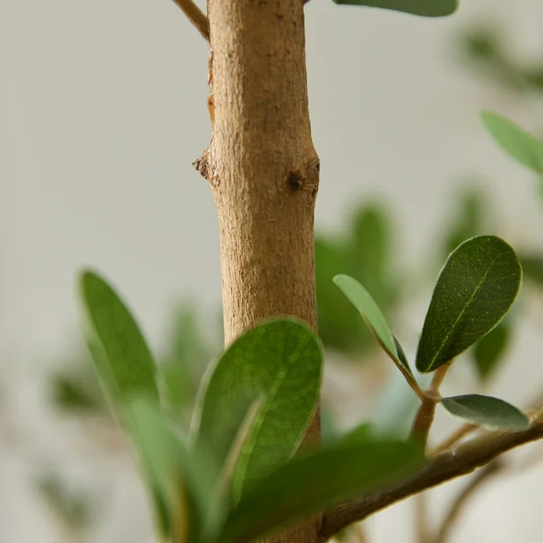DR.Planzen Árbol de Olivo Negro Falso de 6 Pies - Árbol Artificial en Maceta Realista con Tronc... | Walmart (US)