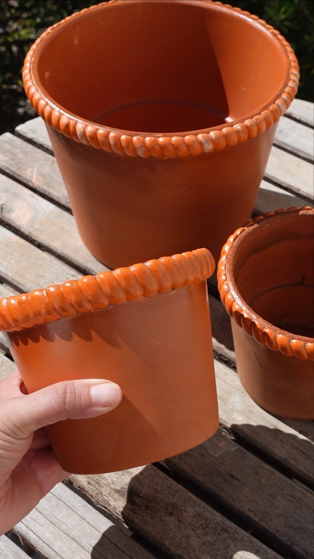 DIY Terracotta Pot Edging

#LTKSeasonal #LTKHome