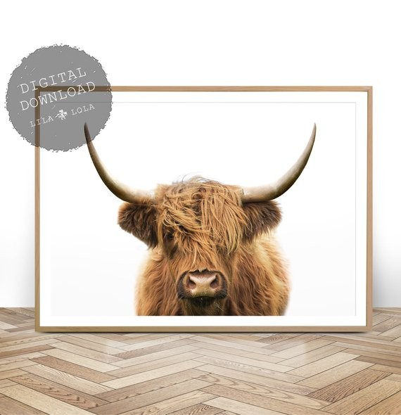 Highland Cow Print, Printable Wall Art, Farmhouse Decor, Shaggy Cow Photo, Large Poster, Digital ... | Etsy (US)