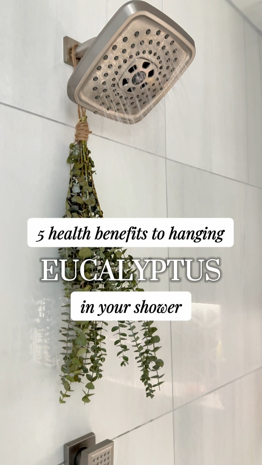 Eucalyptus offers several health benefits, particularly through its essential oil and leaves. Here are five key health benefits:
	1.	Supports Respiratory Health – Eucalyptus helps clear mucus, reduce congestion, and soothe irritated airways. It’s commonly used in steam inhalation or cough drops to relieve symptoms of colds, bronchitis, and sinus infections.
	2.	Reduces Inflammation & Pain – The anti-inflammatory properties of eucalyptus can help with muscle pain, joint pain, and headaches. It is often found in topical pain relief creams and used in aromatherapy for tension relief.
	3.	Boosts Immune System – Eucalyptus has antimicrobial and antiviral properties, which may help the body fight off infections, making it a natural immune booster.
	4.	Improves Oral Health – Eucalyptus is often used in mouthwashes and toothpaste due to its antibacterial properties. It helps fight bad breath, gum disease, and cavities by reducing harmful bacteria in the mouth.
	5.	Supports Mental Clarity & Relaxation – Inhaling eucalyptus oil can promote relaxation, reduce stress, and improve focus. It’s commonly used in aromatherapy to enhance mood and mental clarity.

#LTKFindsUnder50 #LTKHome #LTKWatchNow