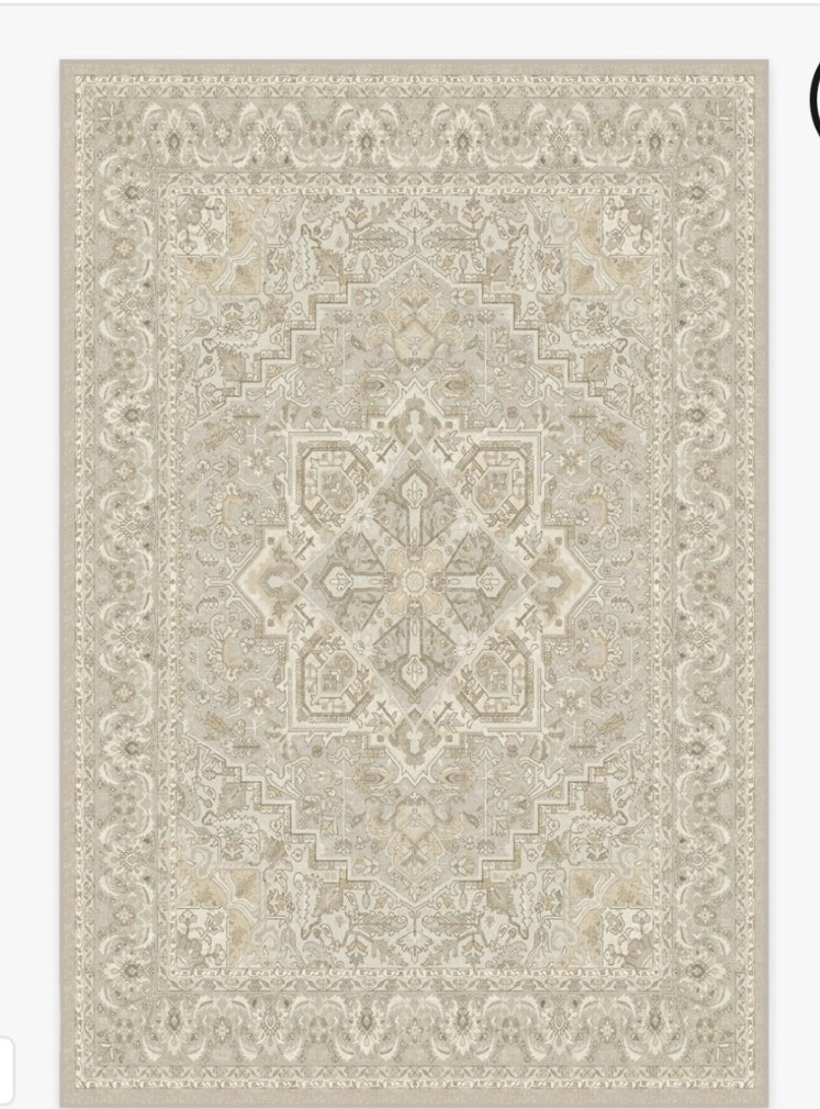 Living room rug 