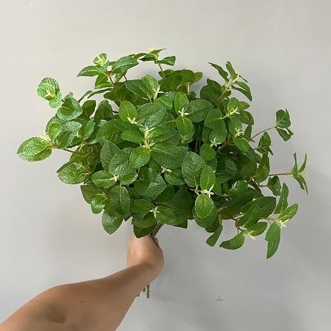 3Pcs Mint Leaves Artificial Greenery Stem 21.6In Green Fake Leaves Faux Greenery Branch for Vase ... | Amazon (US)