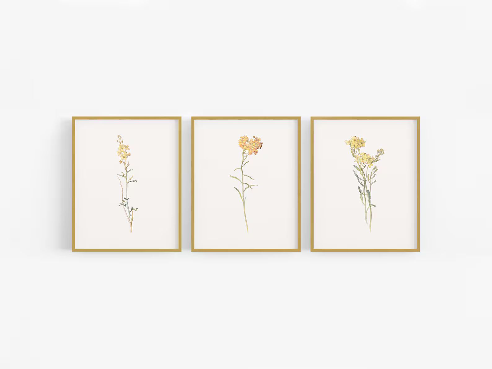 Set of Three Yellow Wildflower Botanical Art Prints / Vintage Flower Art / Botanical Art / Wildfl... | Etsy (US)