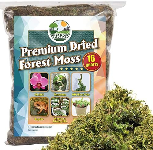 DUSPRO Big Bag 16 Quarts Dried Forest Moss for Plant Propagation Sphagnum Moss Bulk for Orchid Re... | Amazon (US)