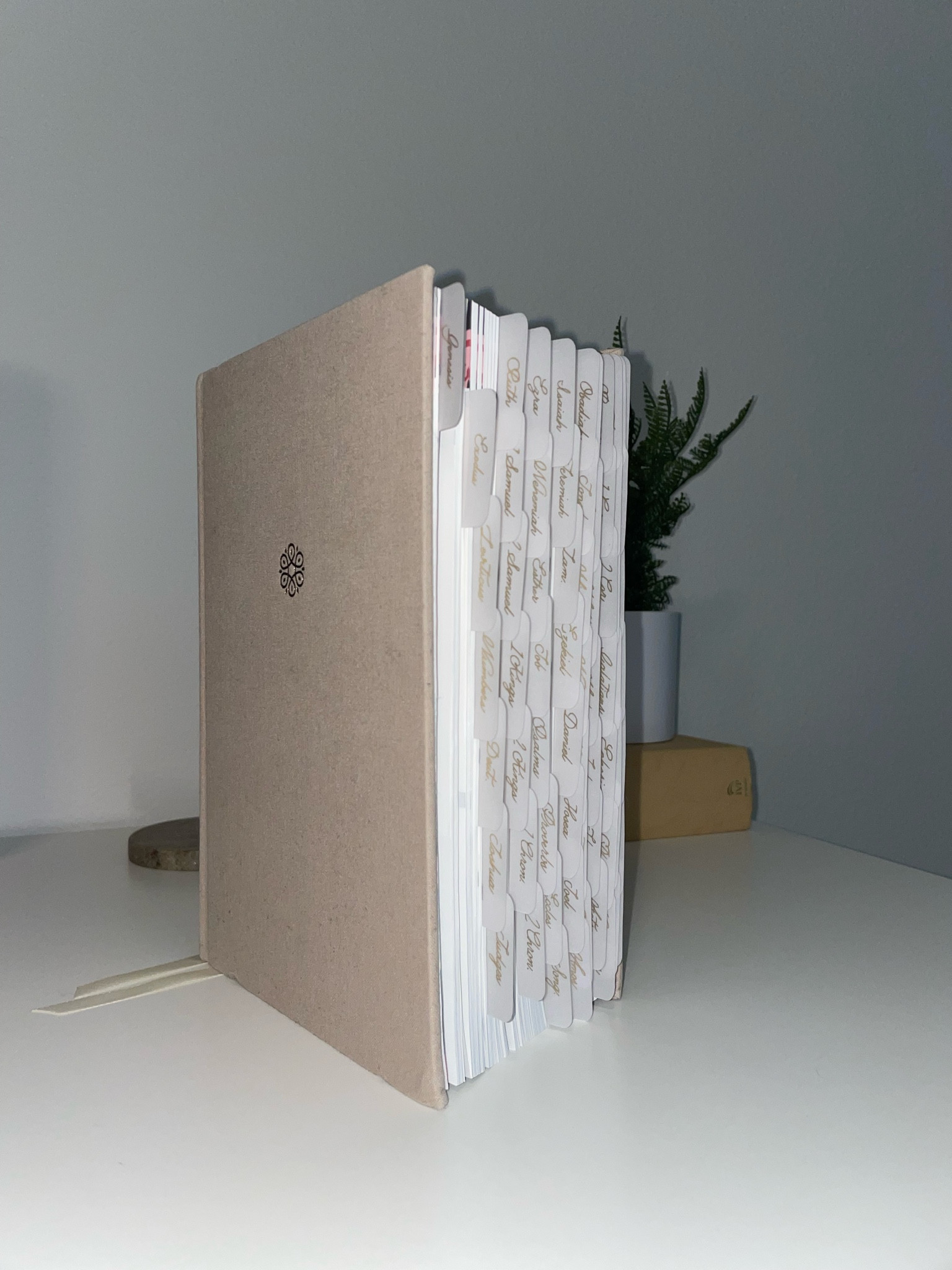 Love my NKJV Bible & Bible Tabs #bibletabs #holybible #christian #christianity #biblestudy #nkjv #modern #neutralaesthetic #aesthetic #beige #linenbible #linenbooks #ivory #gold 

#LTKFind #LTKGiftGuide