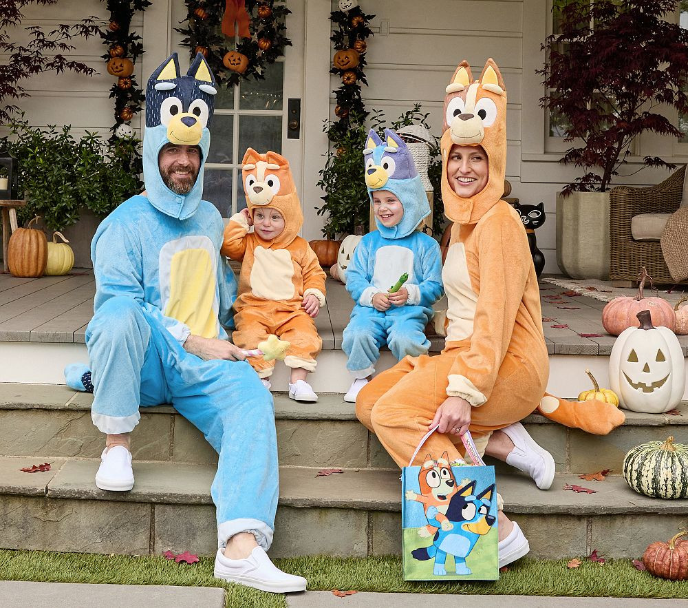 <i>Bluey</i> Family Costume Collection | Pottery Barn Kids