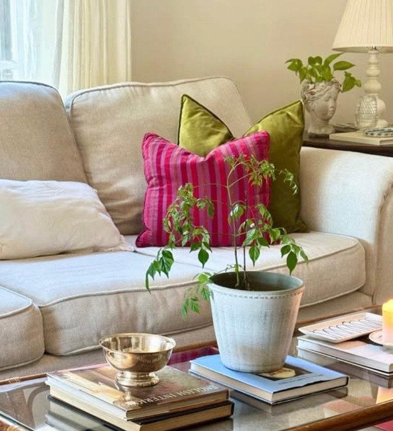 Cozy velvet Pillow covers 



#LTKmomlife #LTKFindsUnder50 #LTKSeasonal