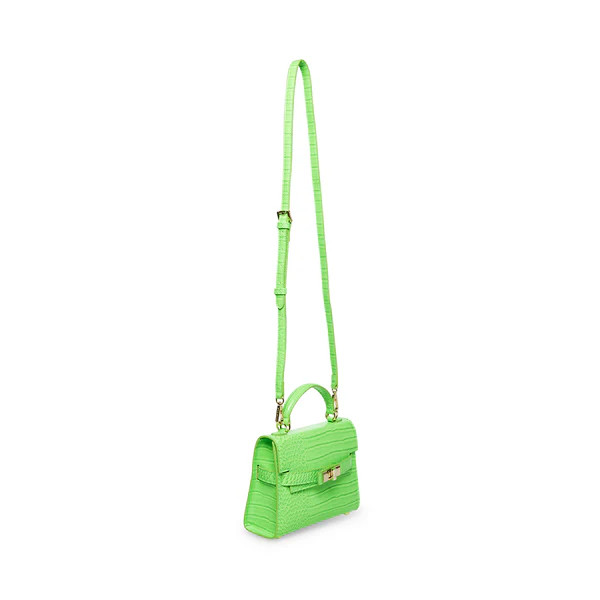 bdignify green crocodile | Steve Madden (US)