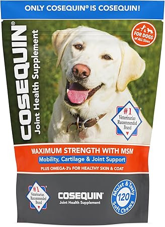 Cosequin Joint Health Supplement for Dogs - With Glucosamine, Chondroitin, MSM, and Omega-3's, 12... | Amazon (US)