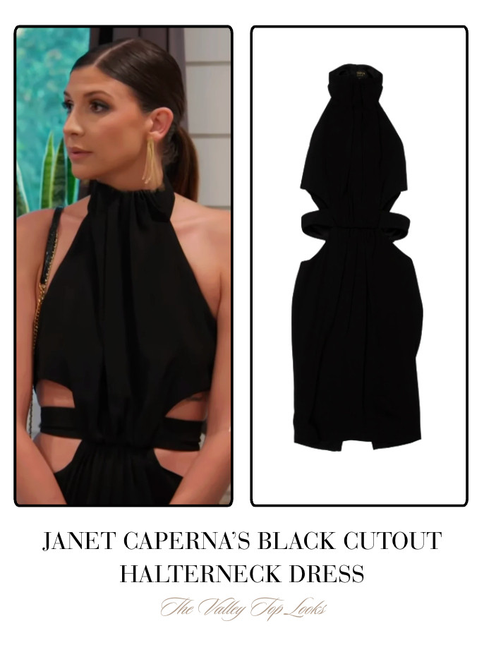Janet Caperna's Black Cutout Halterneck Dress 

 