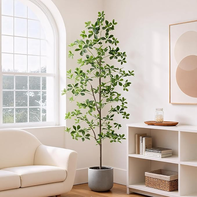 6ft Tall Artificial Black Olive Tree with 945 Lifelike Leaves, Tall Fake Greenery Olive Silk Plan... | Amazon (US)