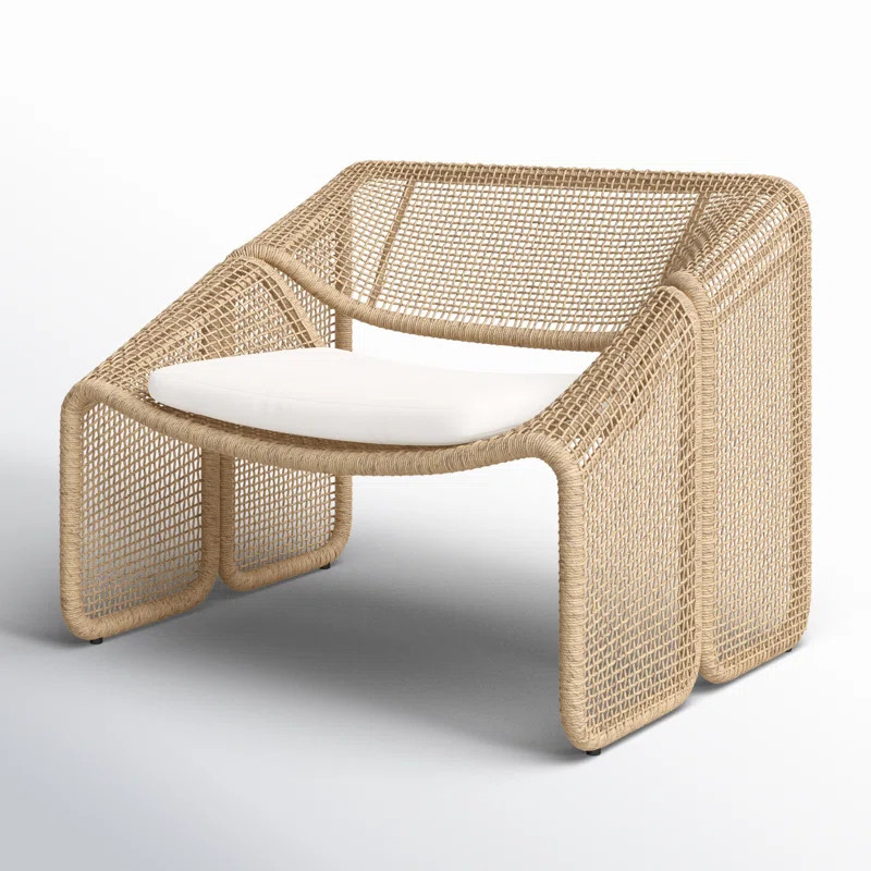 Aliza Outdoor Lounge Chair with Cushion | AllModern