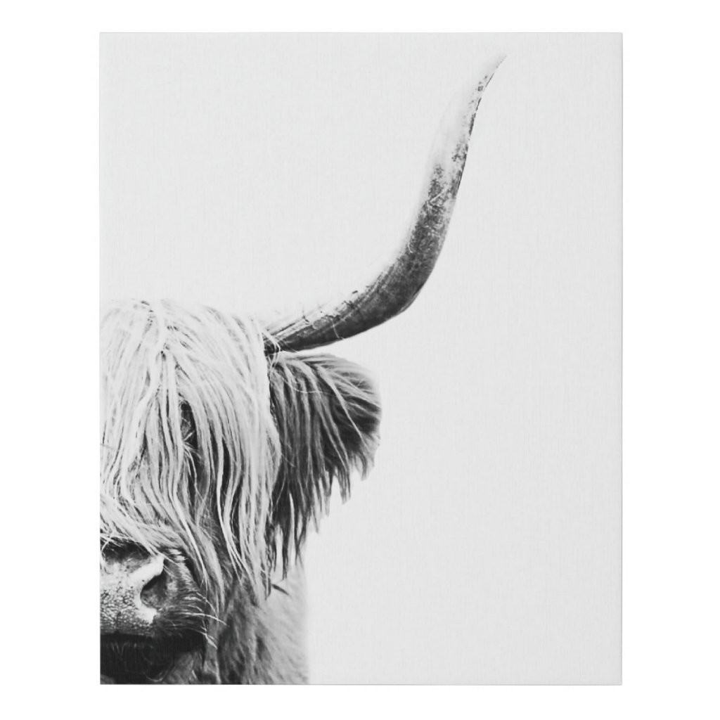 Boho Black and White Abstract Highland Cow | Zazzle