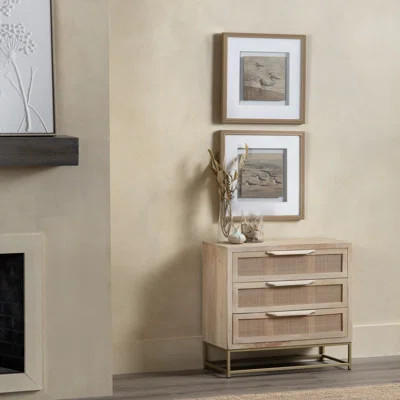 Alsup Cane 3 Drawer Accent Chest | Wayfair North America