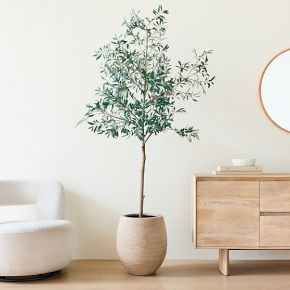 Faux Potted Olive Tree & Curved Round Planter Bundle | West Elm (US)