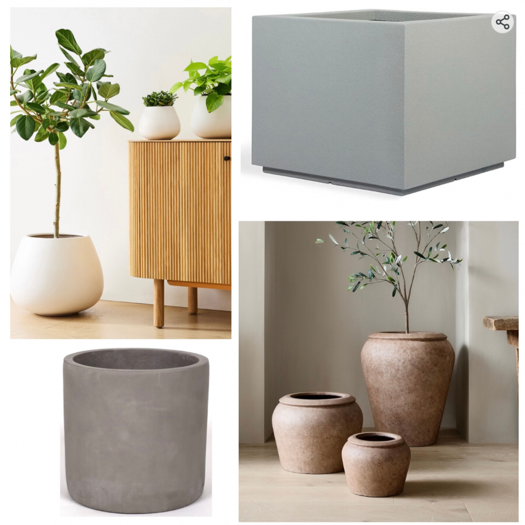 Home decor planters wayfair west elm 

#LTKSeasonal #LTKhome