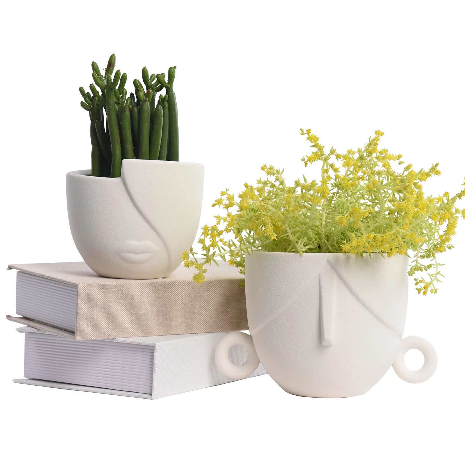Garden Succulent Planter Flower Pots Set of 2, Indoor Planter Pots with Drainage Hole, Ceramic Wh... | Walmart (US)