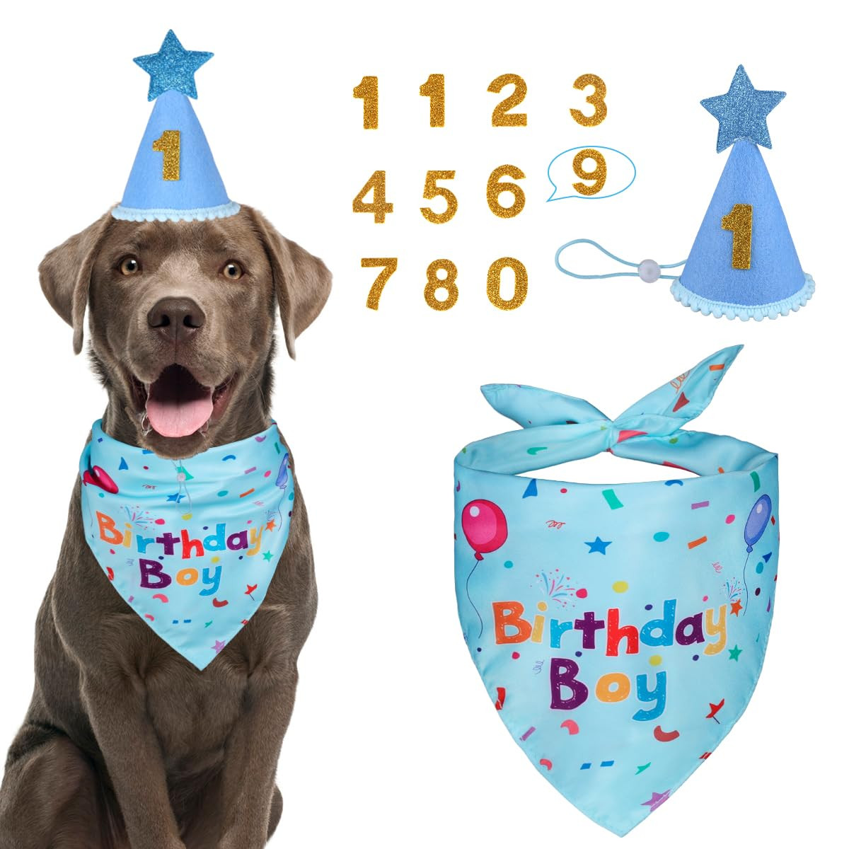 Dog Birthday Party Supplies, Dog Birthday Bandana Set, Dog Boy Girl Birthday Party Hat with Numbe... | Amazon (US)