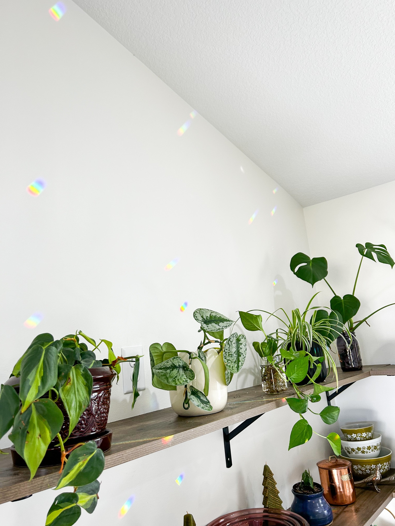 These little rainbows from the crystal in my window 😍