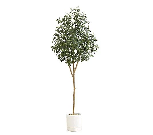 Nearly Natural 6' Artificial Olive Tree with Planter | QVC