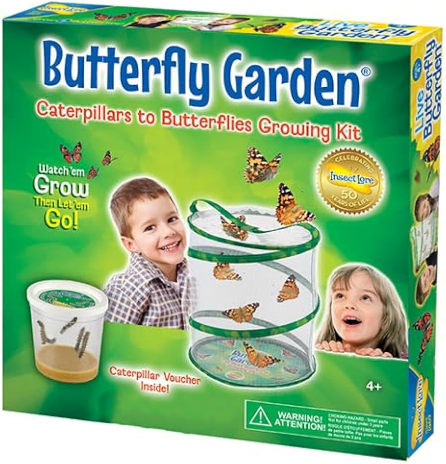 Insect Lore Butterfly Garden (Packaging May Vary) | Amazon (UK)