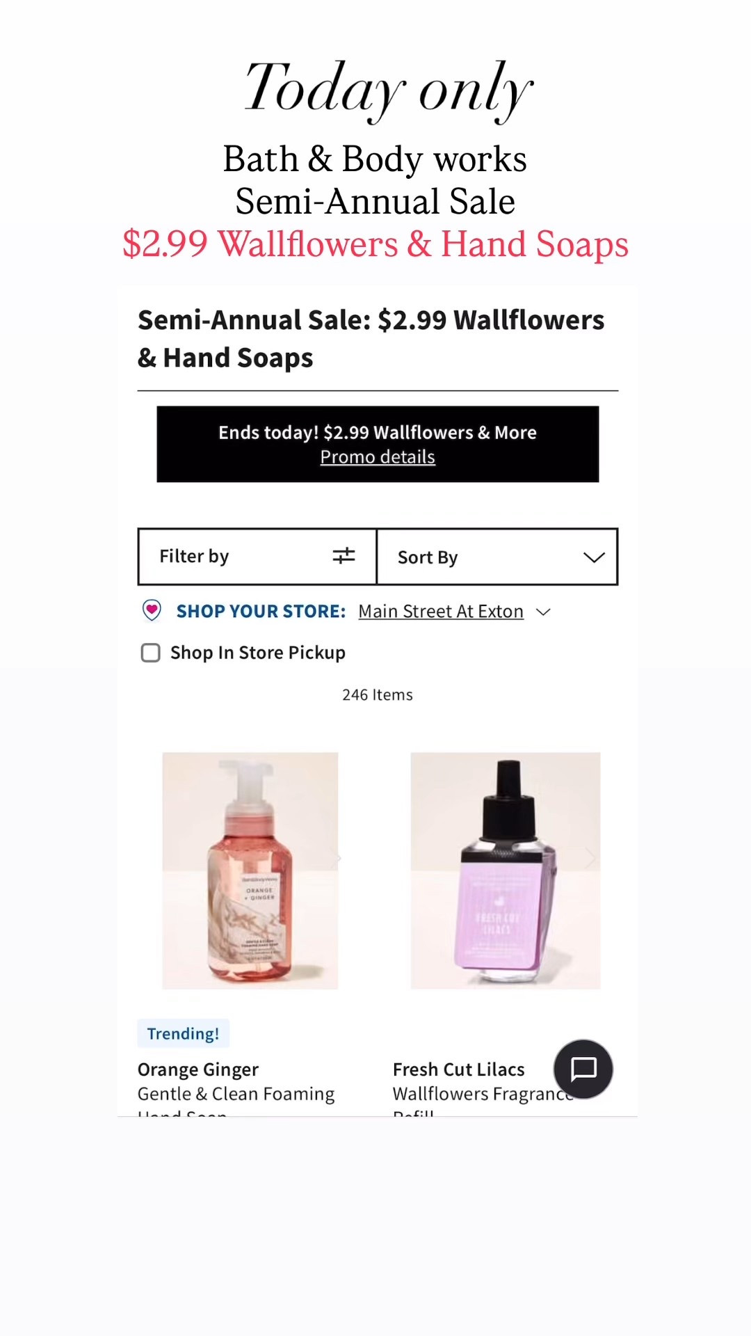 Bed Bath & Beyond hand soaps and wall flowers fragrances on sale today only

Code- STOCKUPNOW

