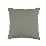 Vine Mercantile Simple Chic Solid Color Muted Olive Green Throw Pillow, 16x16, Multicolor | Amazon (US)