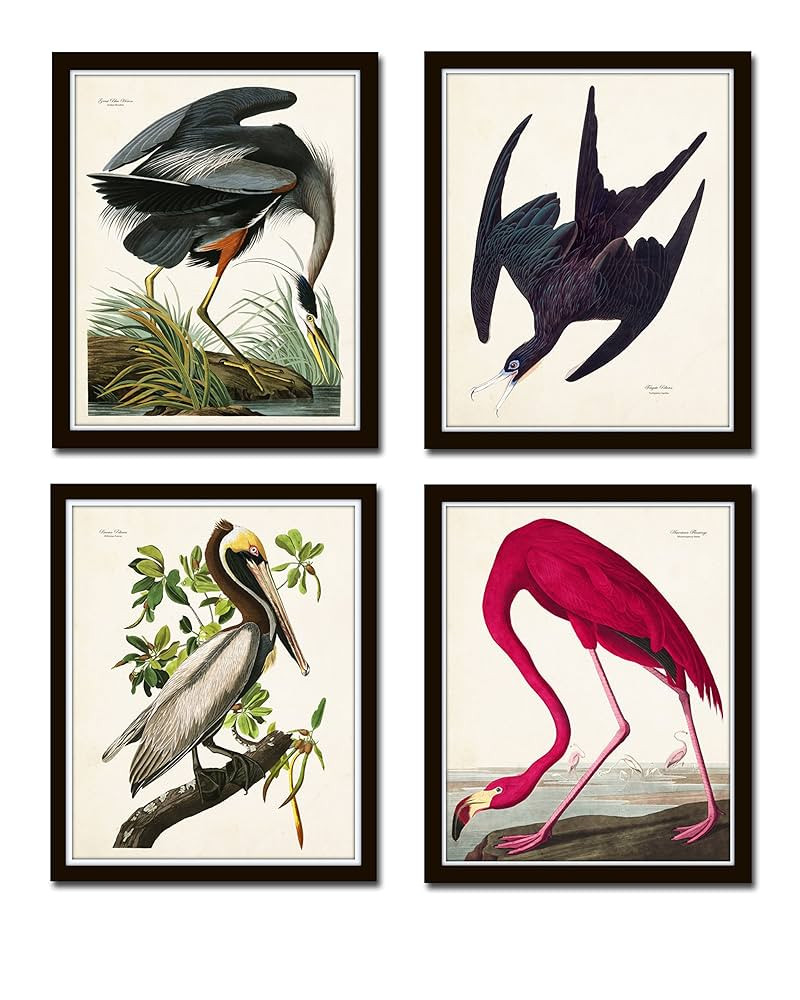Audubon Sea Birds Print Set No.2 Set of 4 Vintage Audubon Bird Prints - Unframed - Nature Decor, ... | Amazon (US)