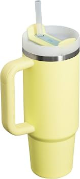 STANLEY Quencher H2.0 Tumbler with Handle and Straw 30 oz | Flowstate 3-Position Lid | Cup Holder... | Amazon (US)