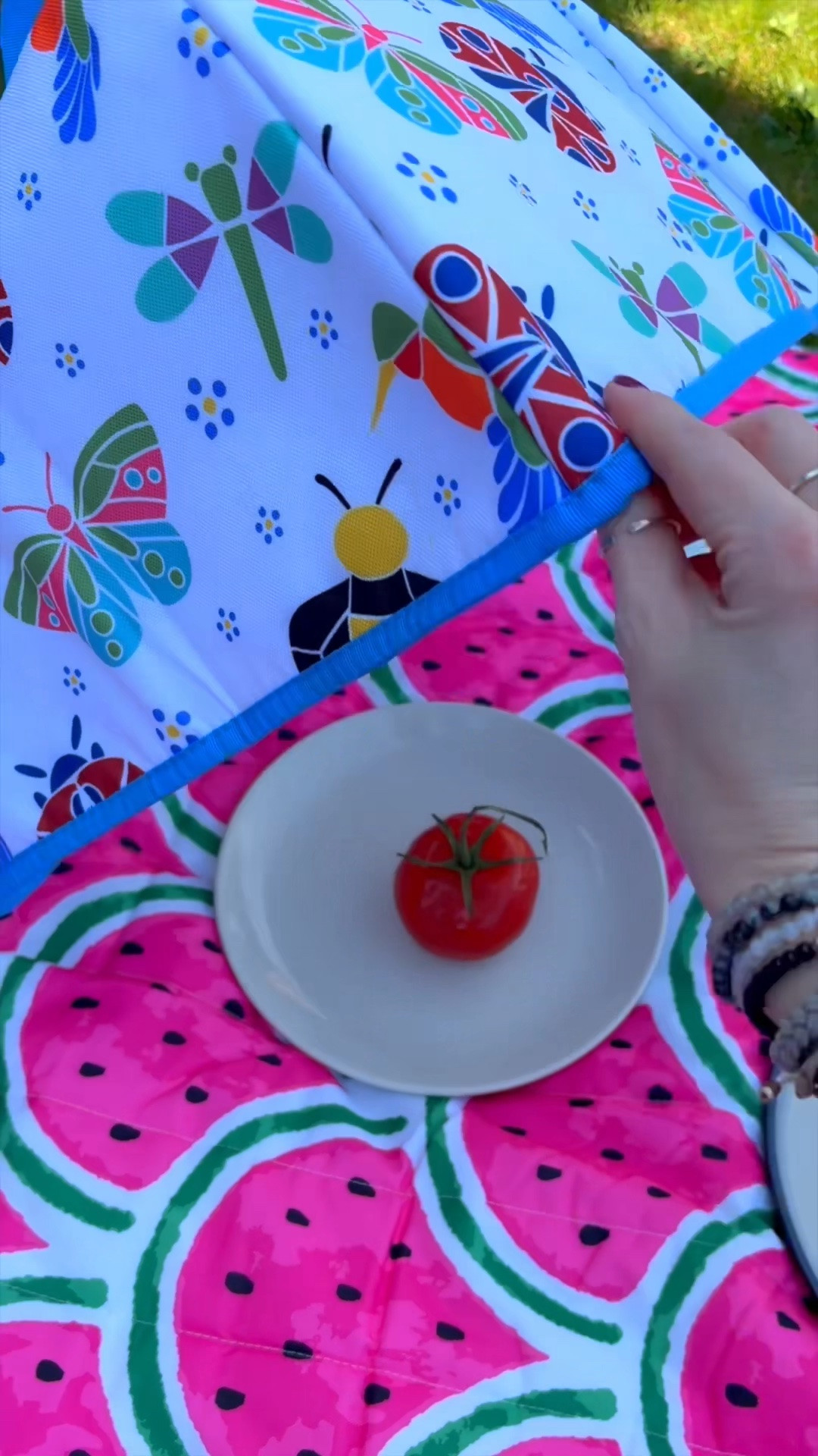Get the food tents!! #foodtent #qvc #tiktokshopsummerturnup #tiktokshopdealsforyoudays #tiktokshopdealsforyou

#LTKSaleAlert #LTKfoodie #LTKmomlife
