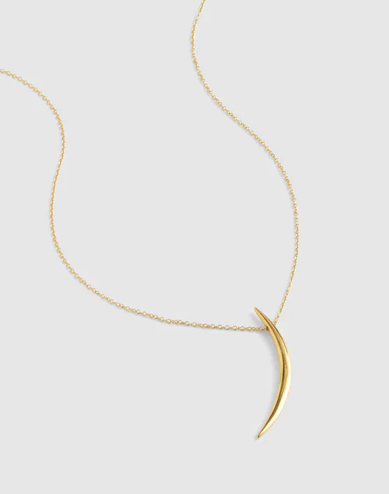 Demi-Fine Horn Pendant Necklace | Madewell