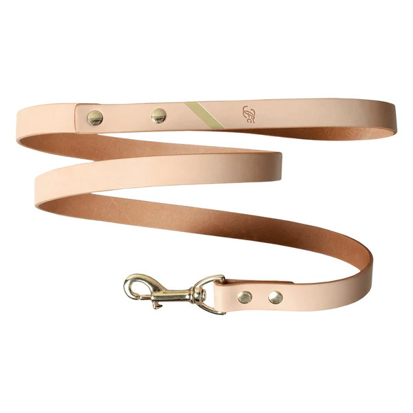 Loyal Me Leather Leash - Naturale | Design Milk